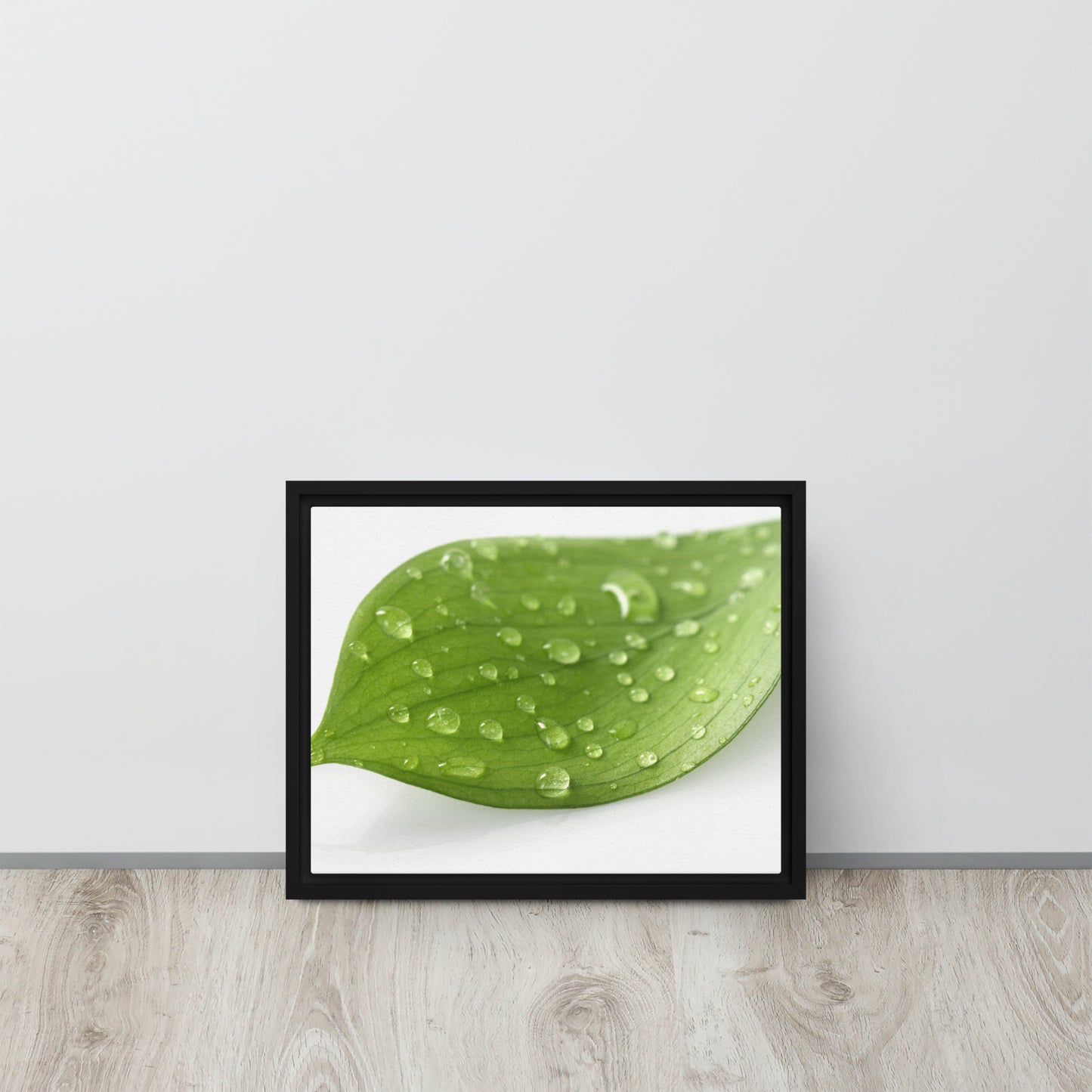 LEAF. Framed canvas