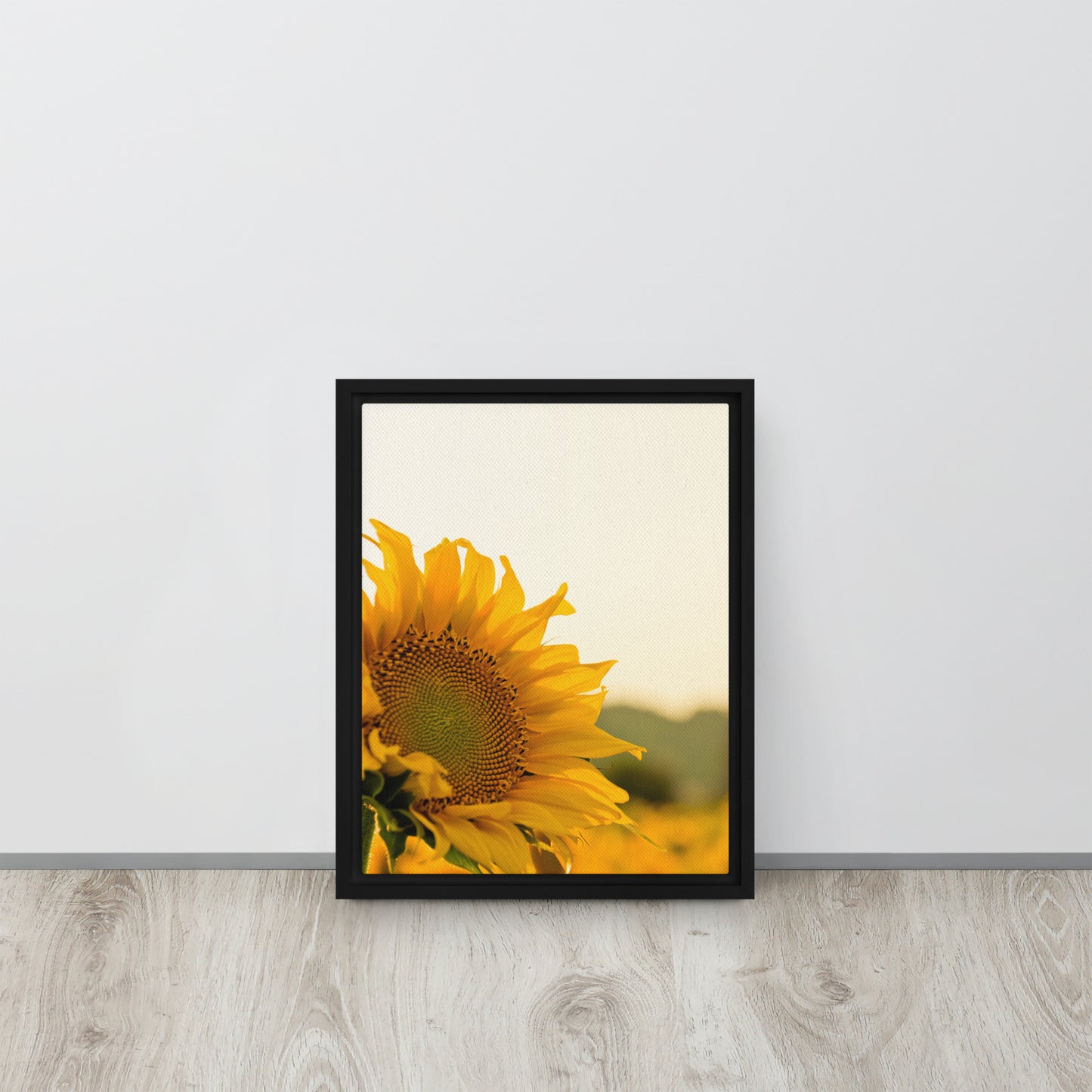 Sunflower. Framed canvas