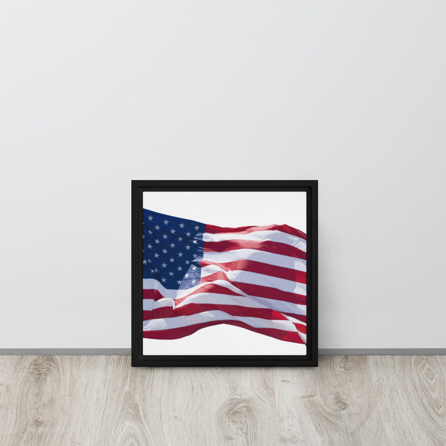 America. Framed canvas