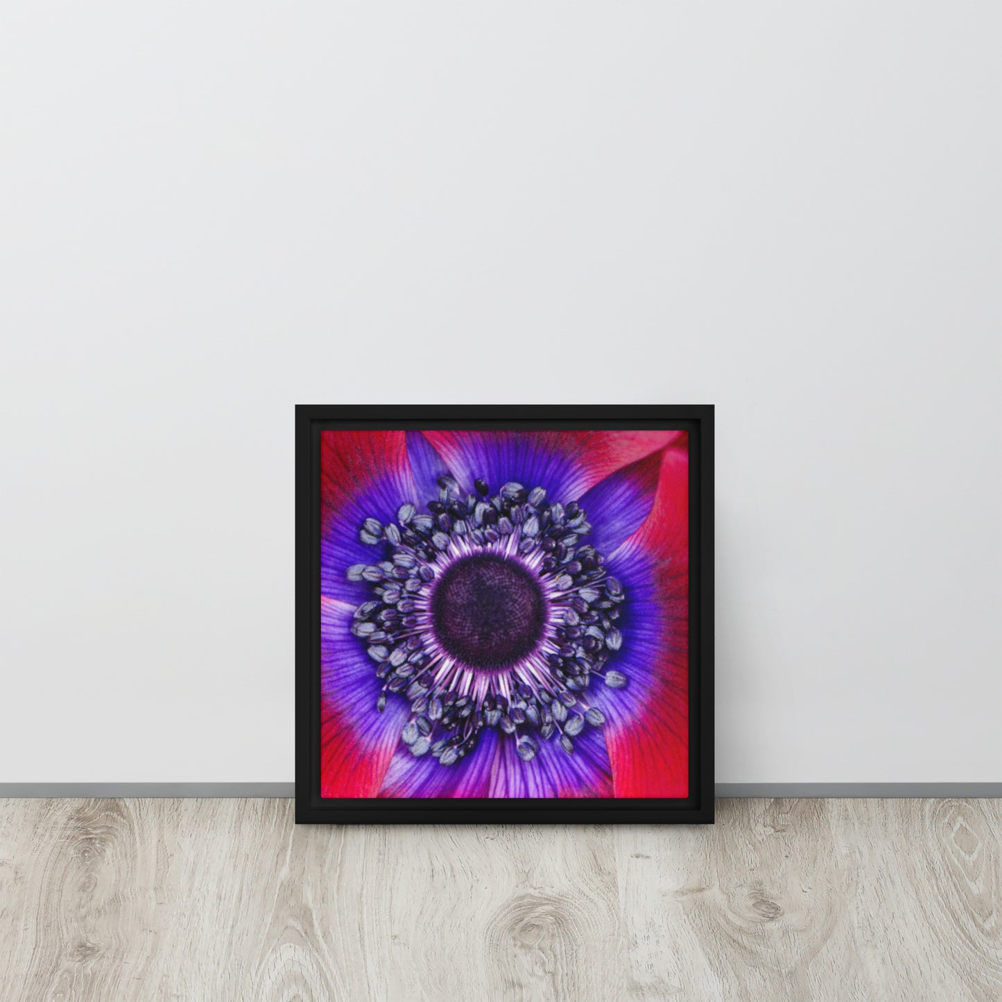 POLLINATE. Framed canvas