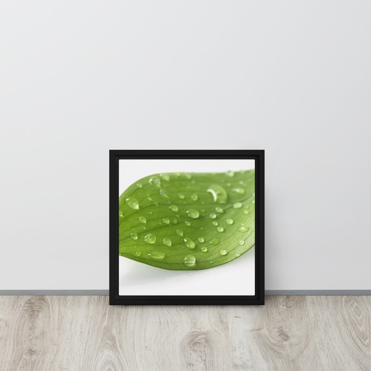 LEAF. Framed canvas