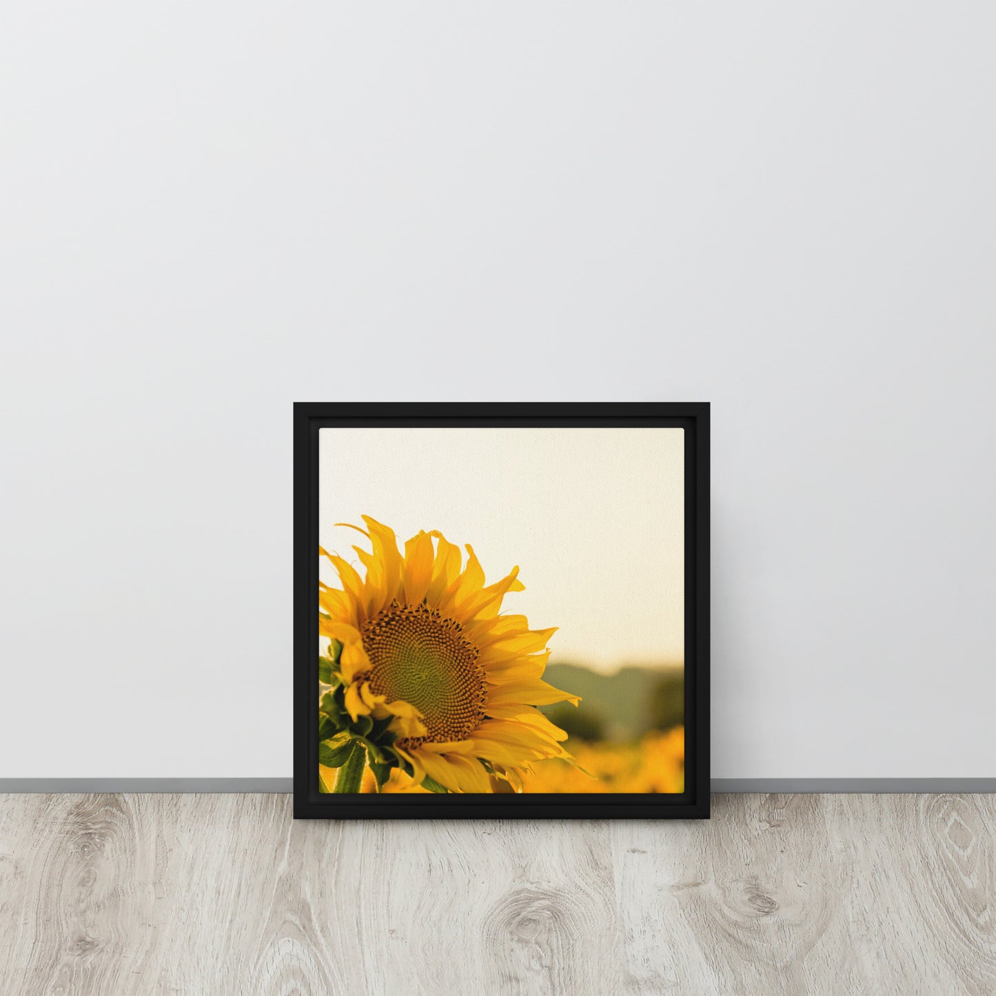 Sunflower. Framed canvas