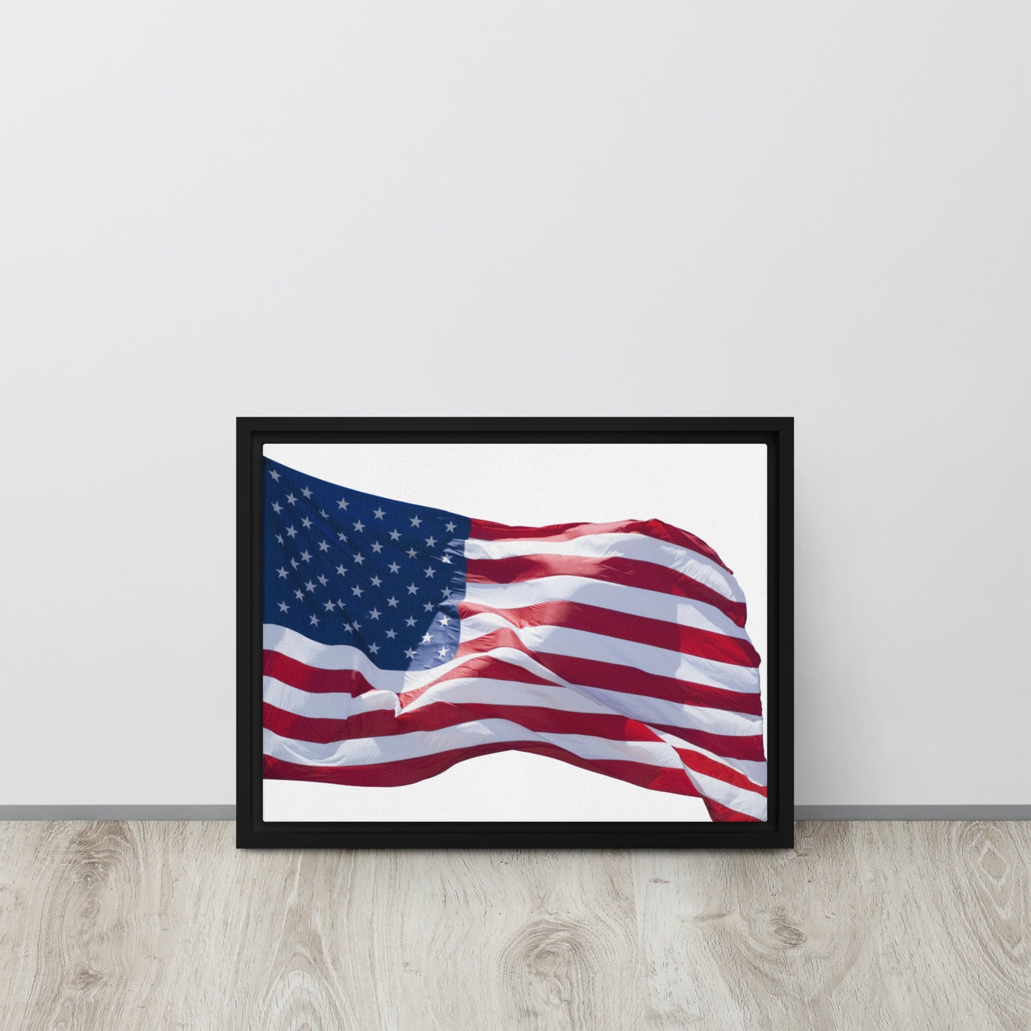 America. Framed canvas