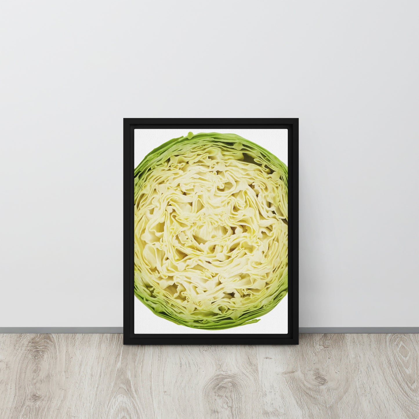 CABBAGE. Framed canvas