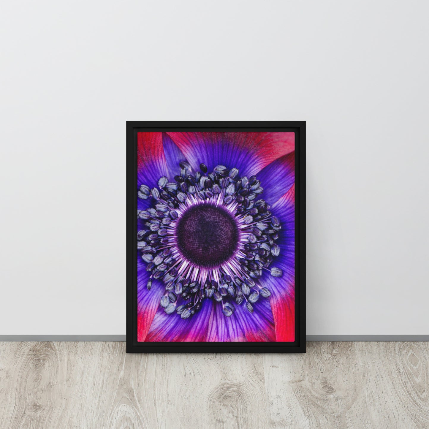 POLLINATE. Framed canvas