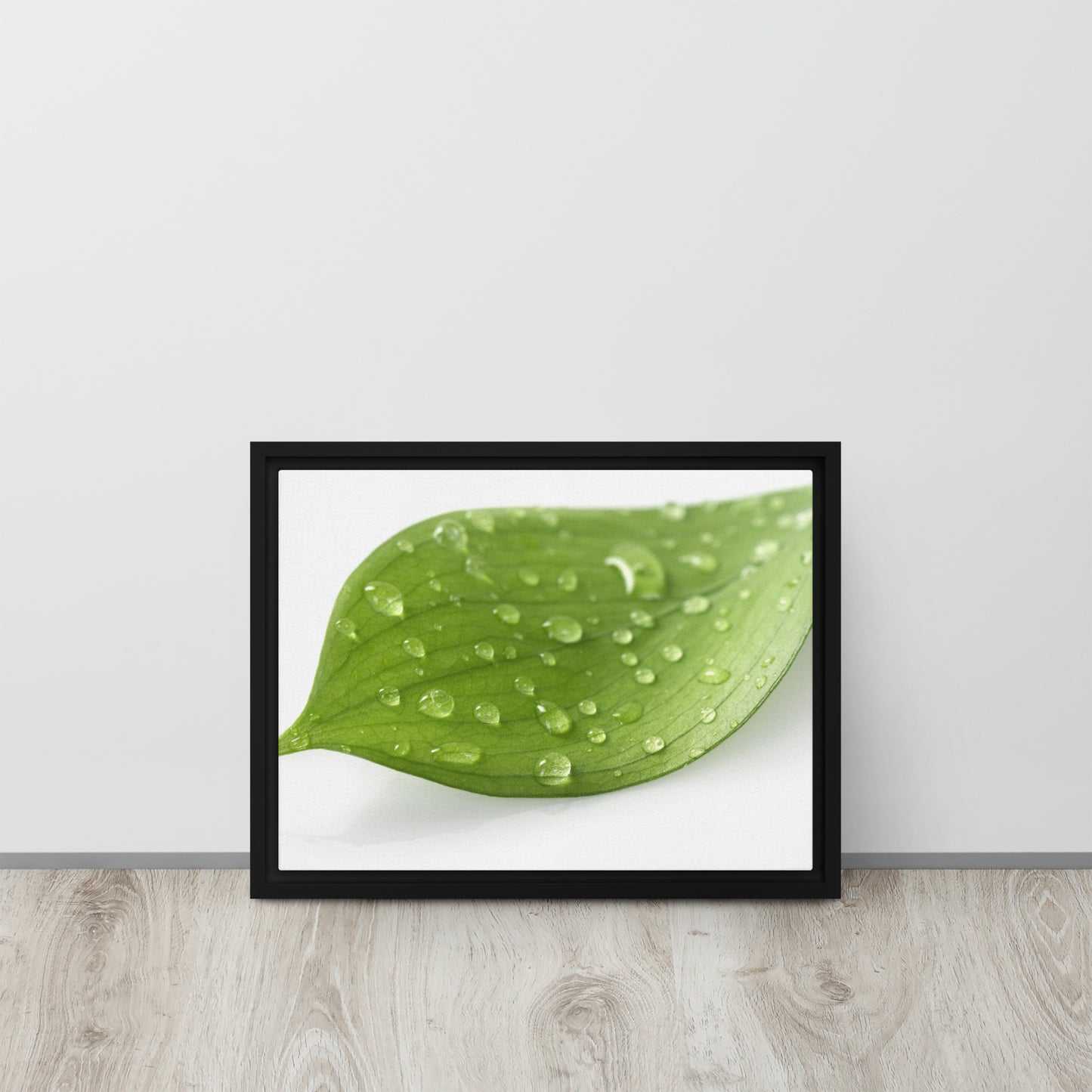 LEAF. Framed canvas