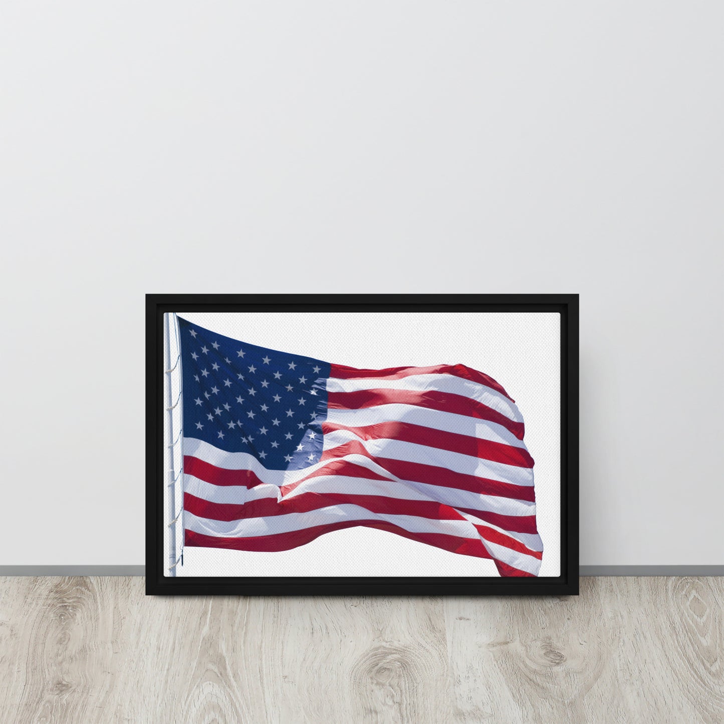 America. Framed canvas