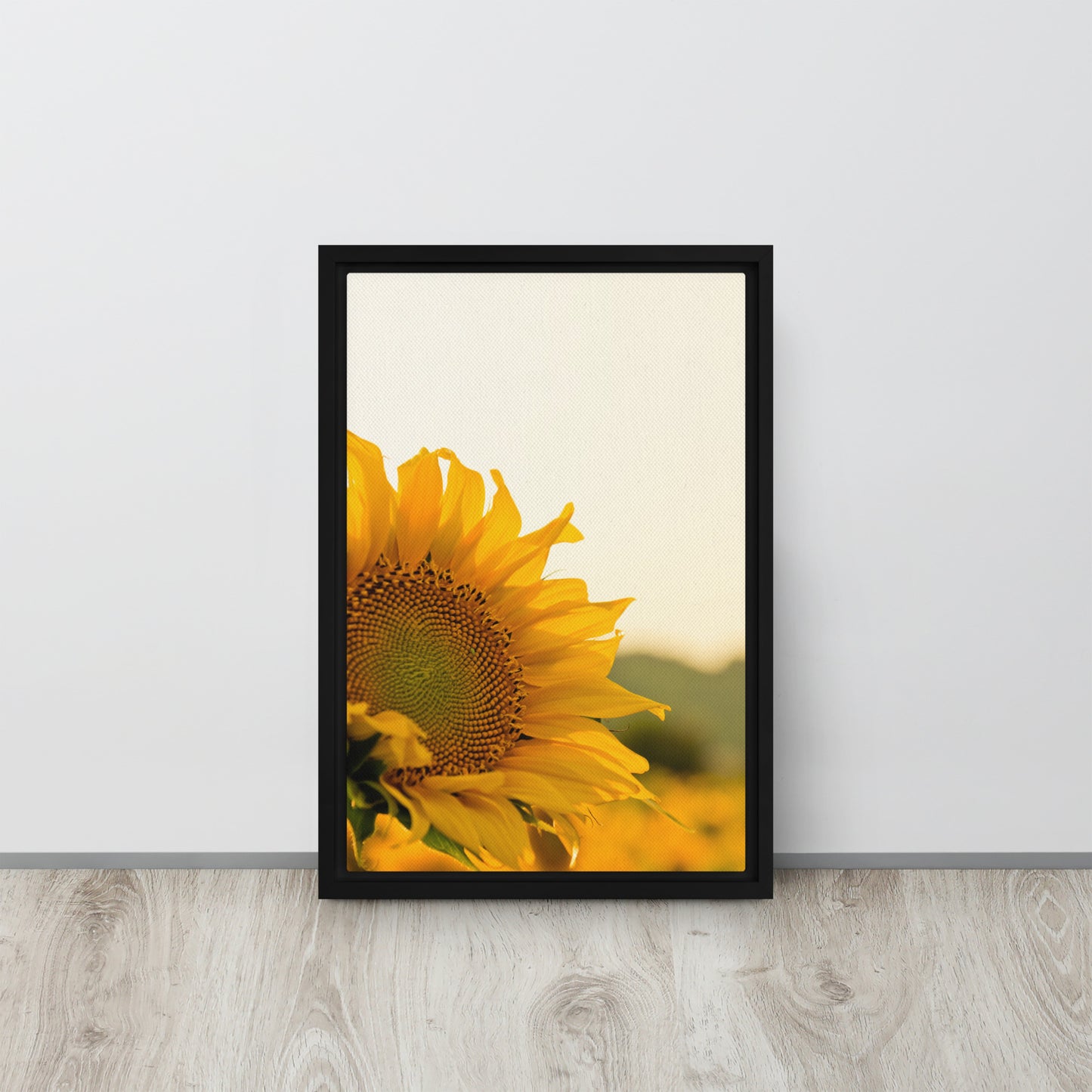 Sunflower. Framed canvas