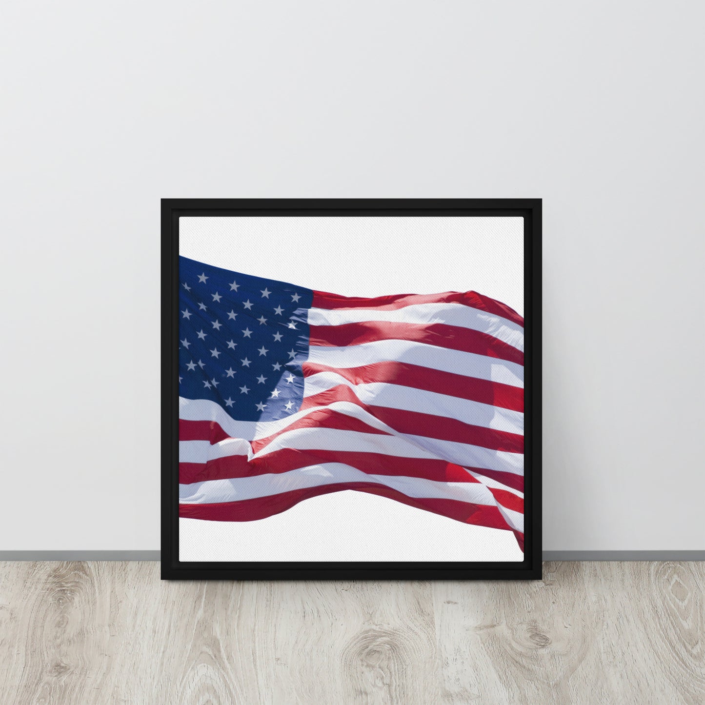 America. Framed canvas