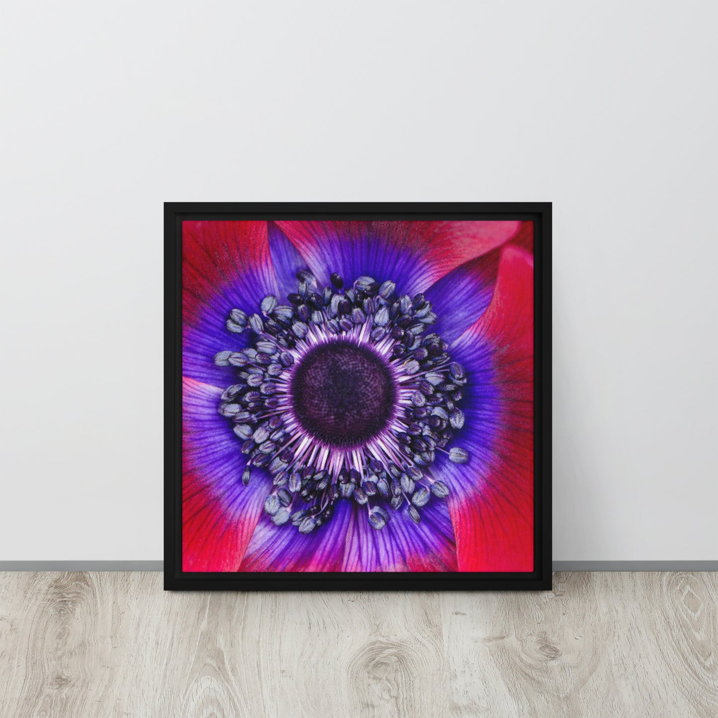 POLLINATE. Framed canvas