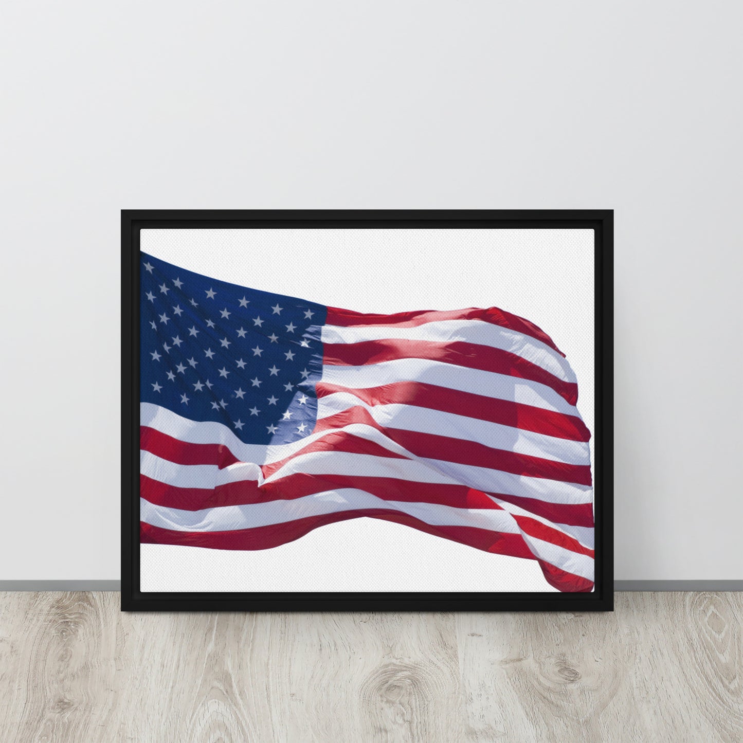 America. Framed canvas