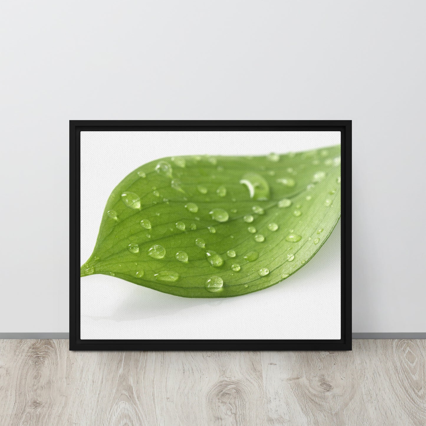 LEAF. Framed canvas