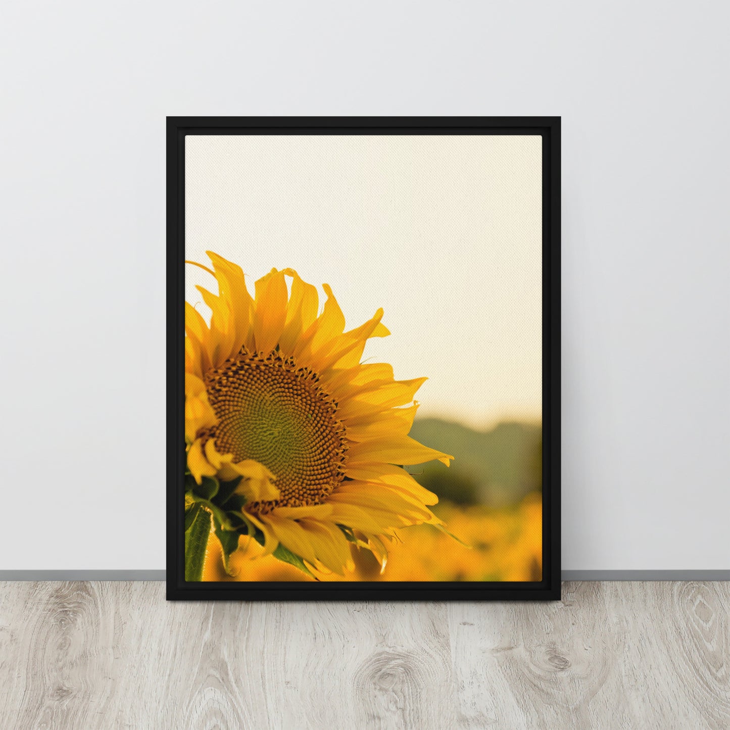 Sunflower. Framed canvas