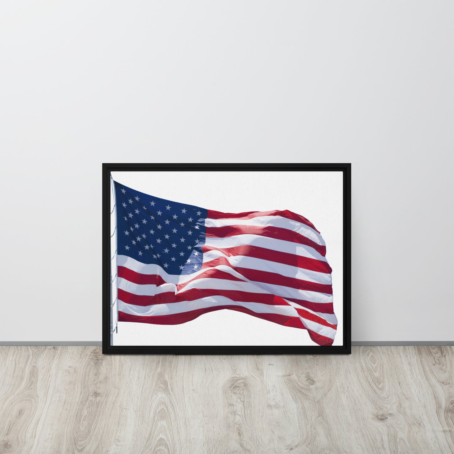 America. Framed canvas