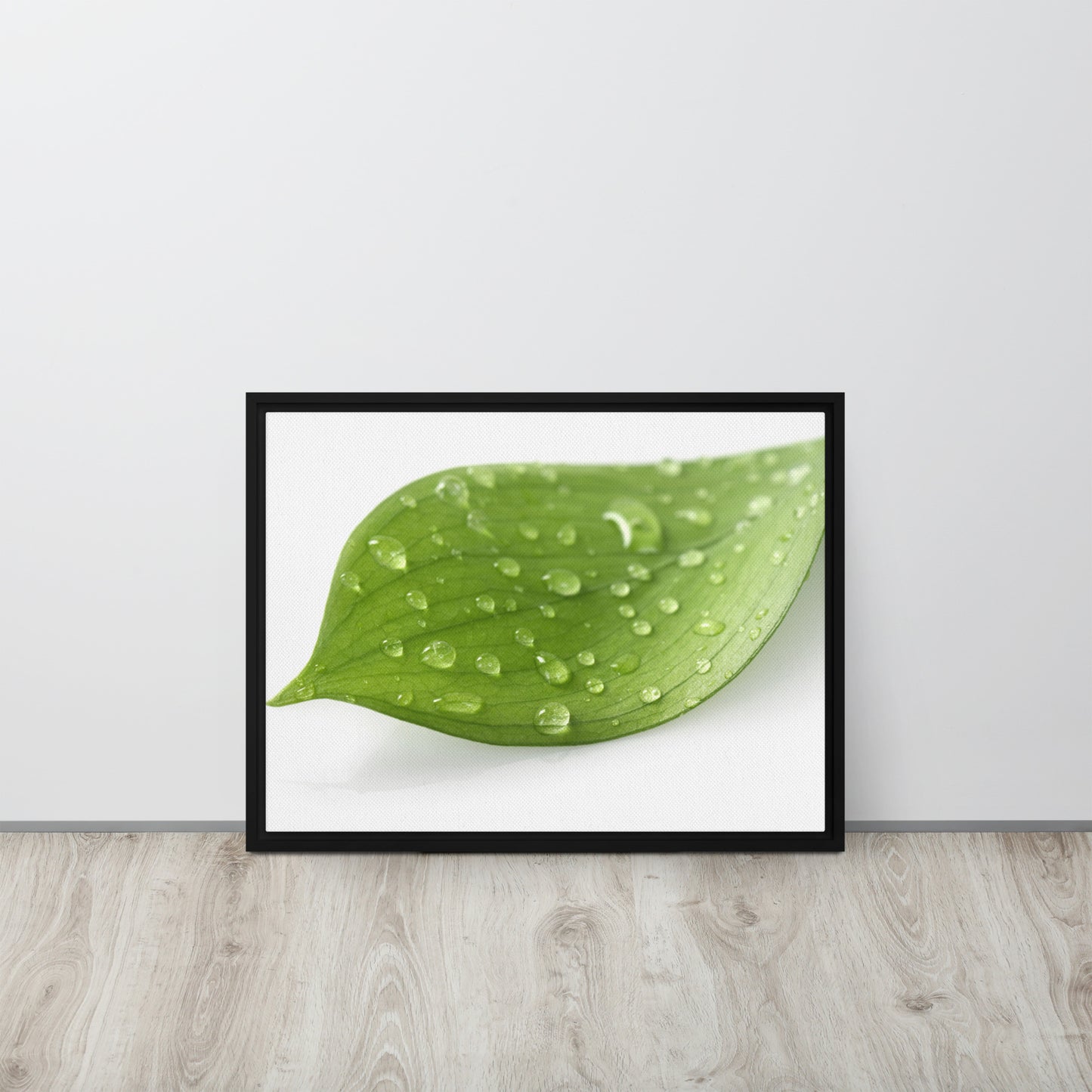 LEAF. Framed canvas