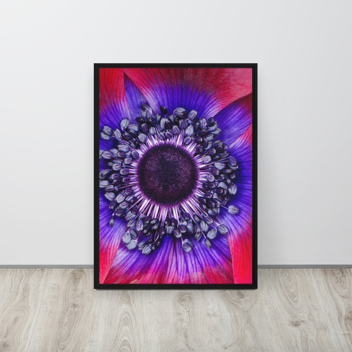 POLLINATE. Framed canvas