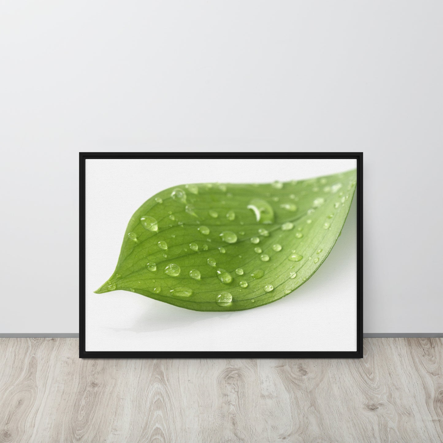 LEAF. Framed canvas