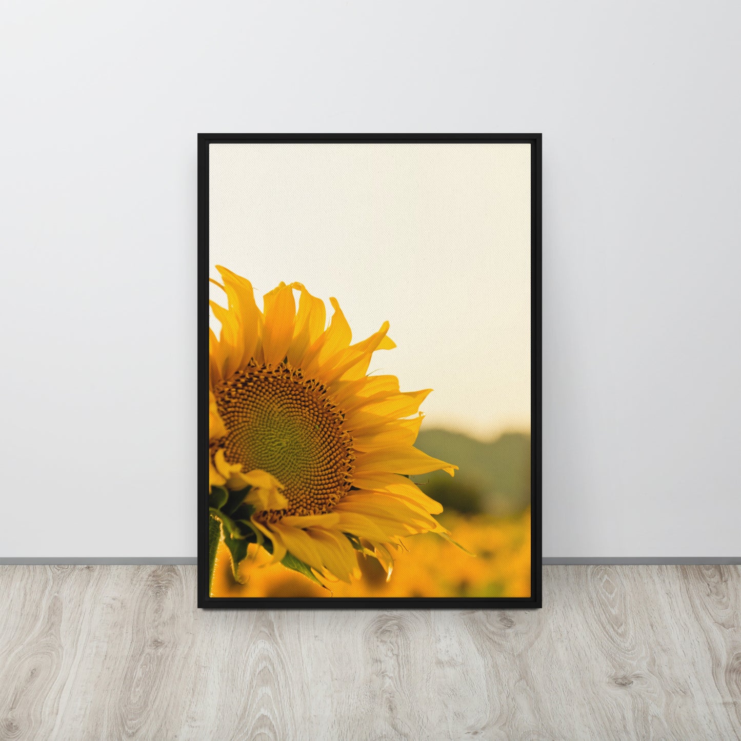 Sunflower. Framed canvas