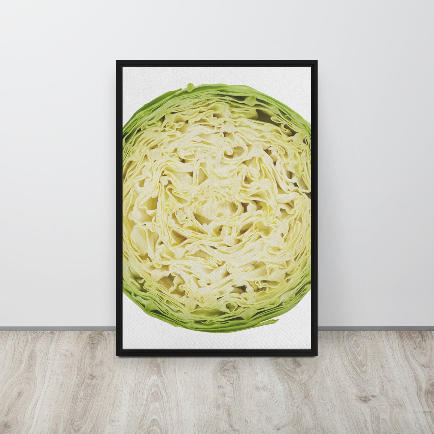 CABBAGE. Framed canvas