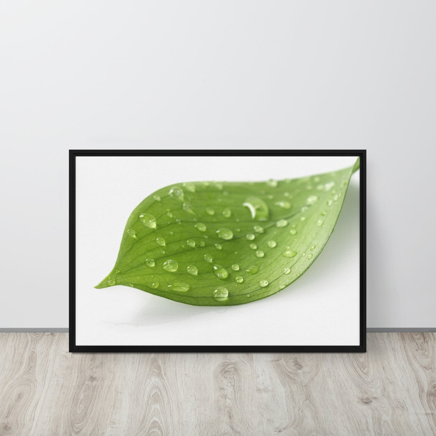 LEAF. Framed canvas