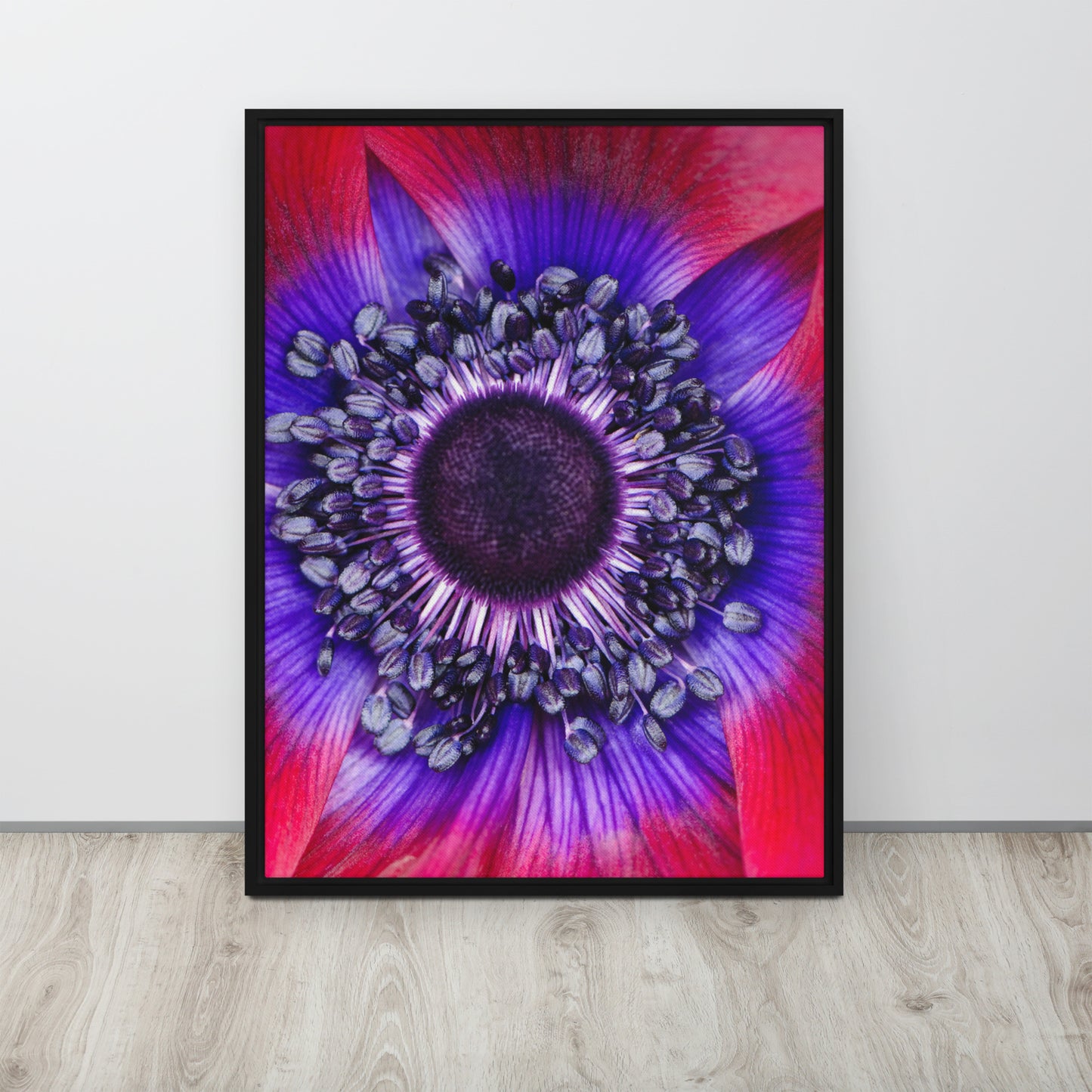 POLLINATE. Framed canvas