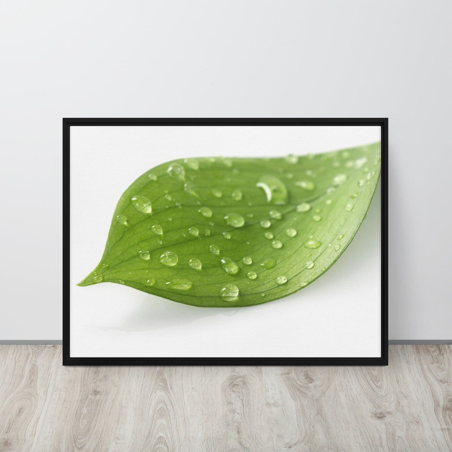 LEAF. Framed canvas