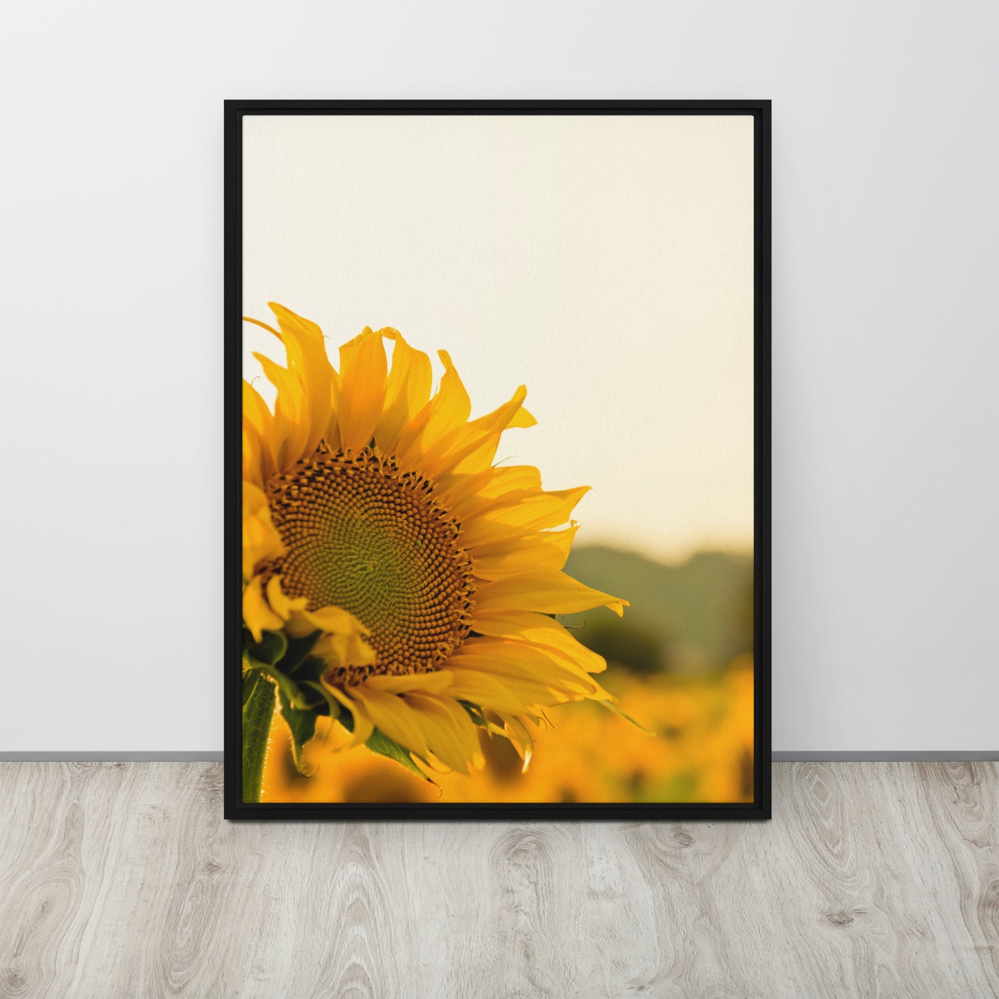 Sunflower. Framed canvas