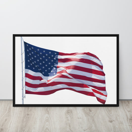 America. Framed canvas