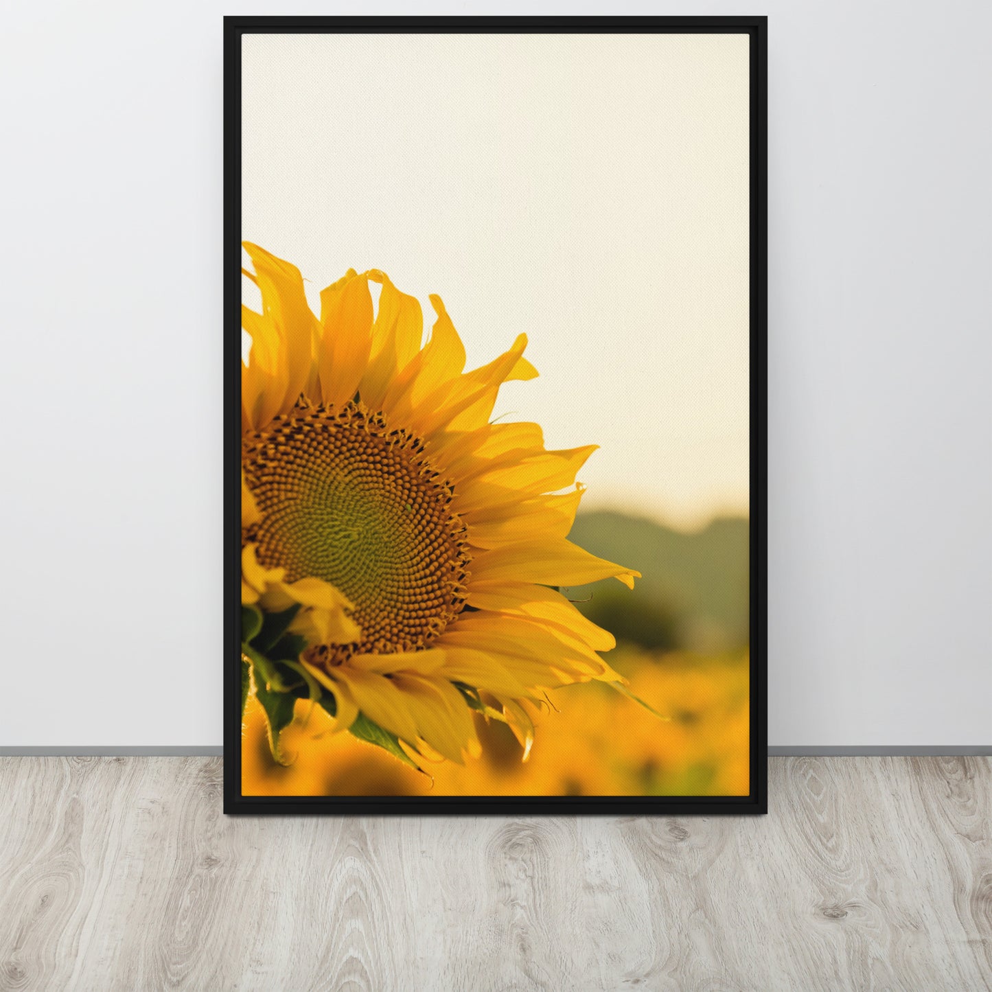 Sunflower. Framed canvas