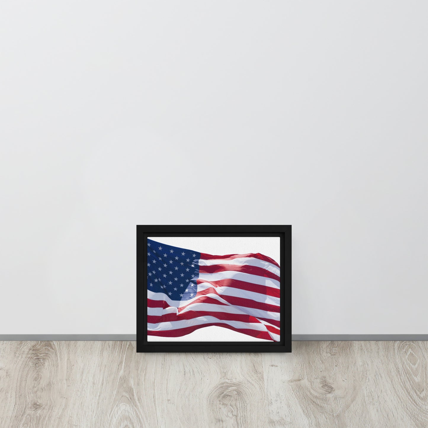 America. Framed canvas