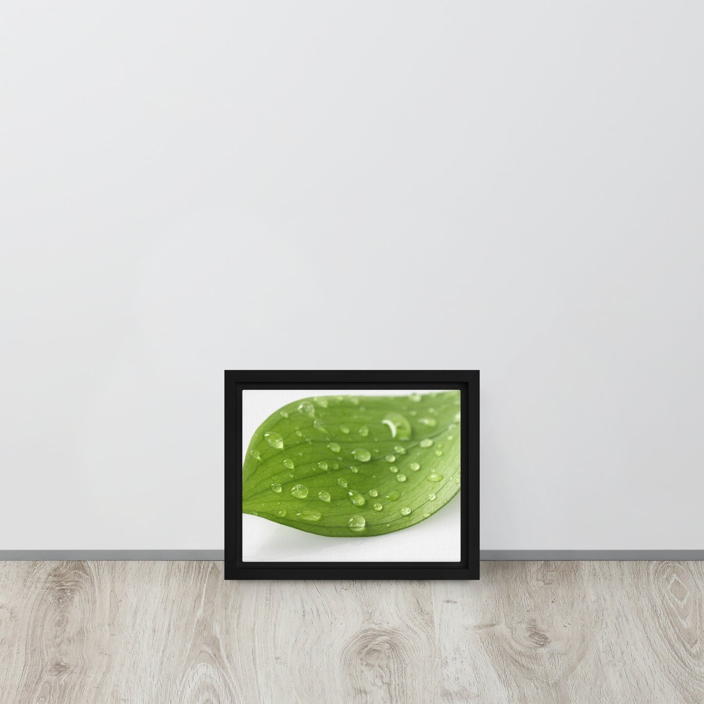 LEAF. Framed canvas