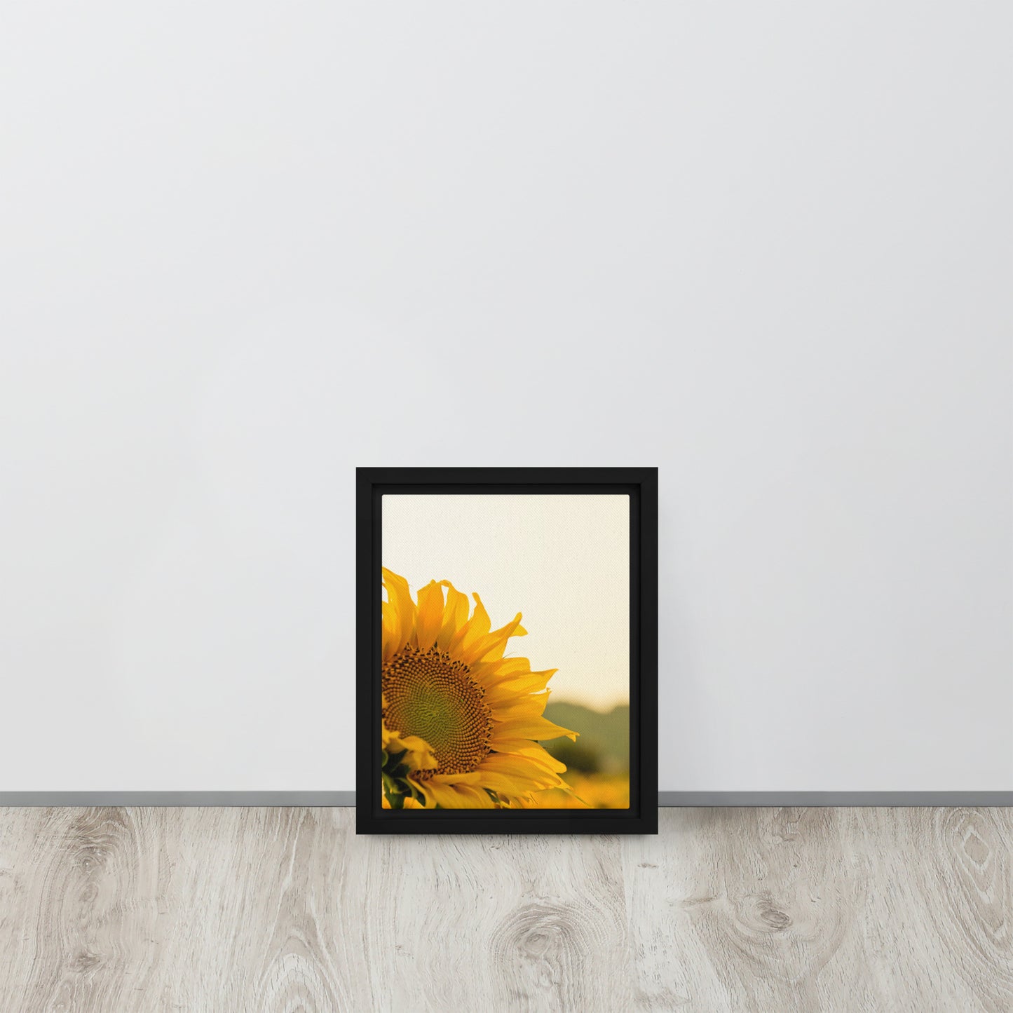 Sunflower. Framed canvas