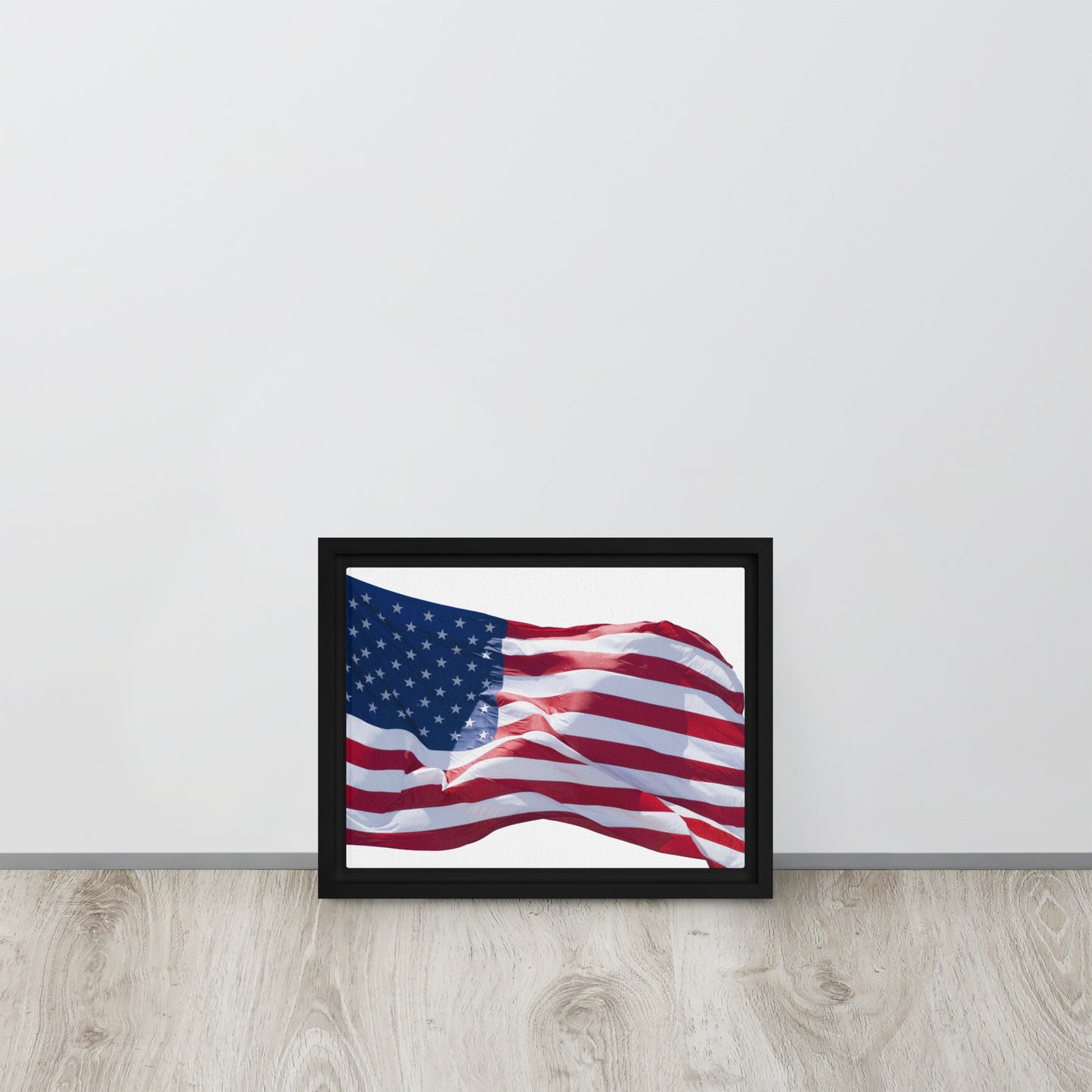 America. Framed canvas