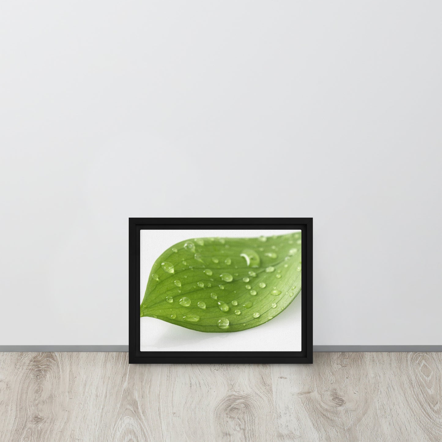 LEAF. Framed canvas