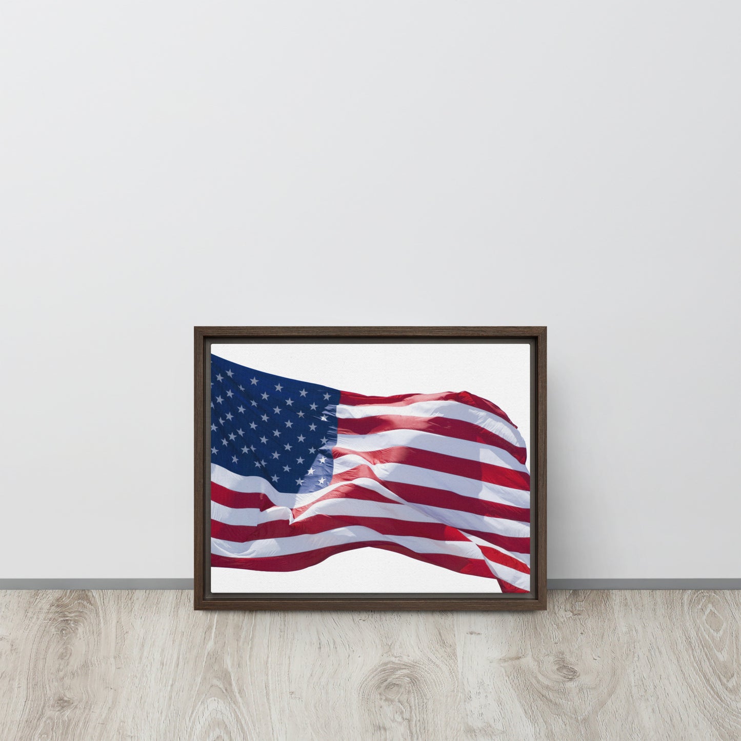 America. Framed canvas