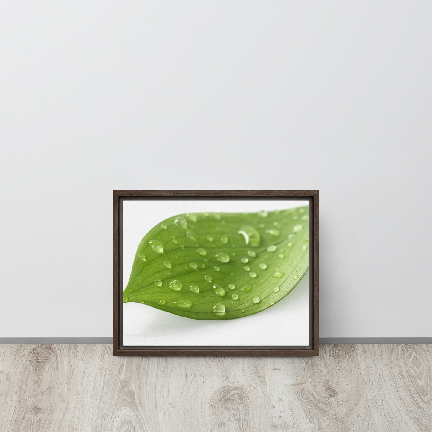 LEAF. Framed canvas