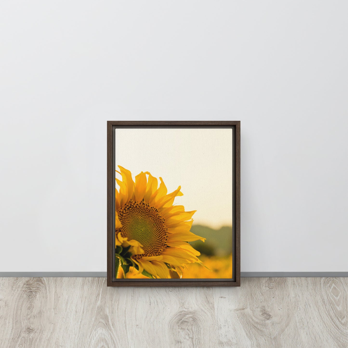 Sunflower. Framed canvas