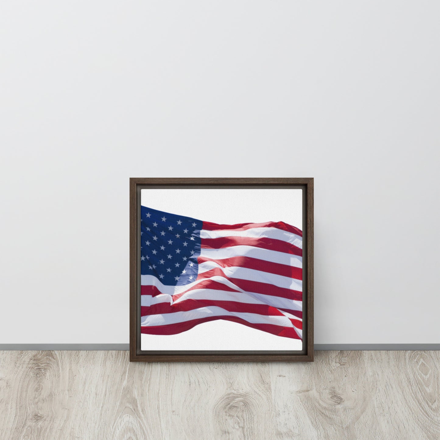 America. Framed canvas