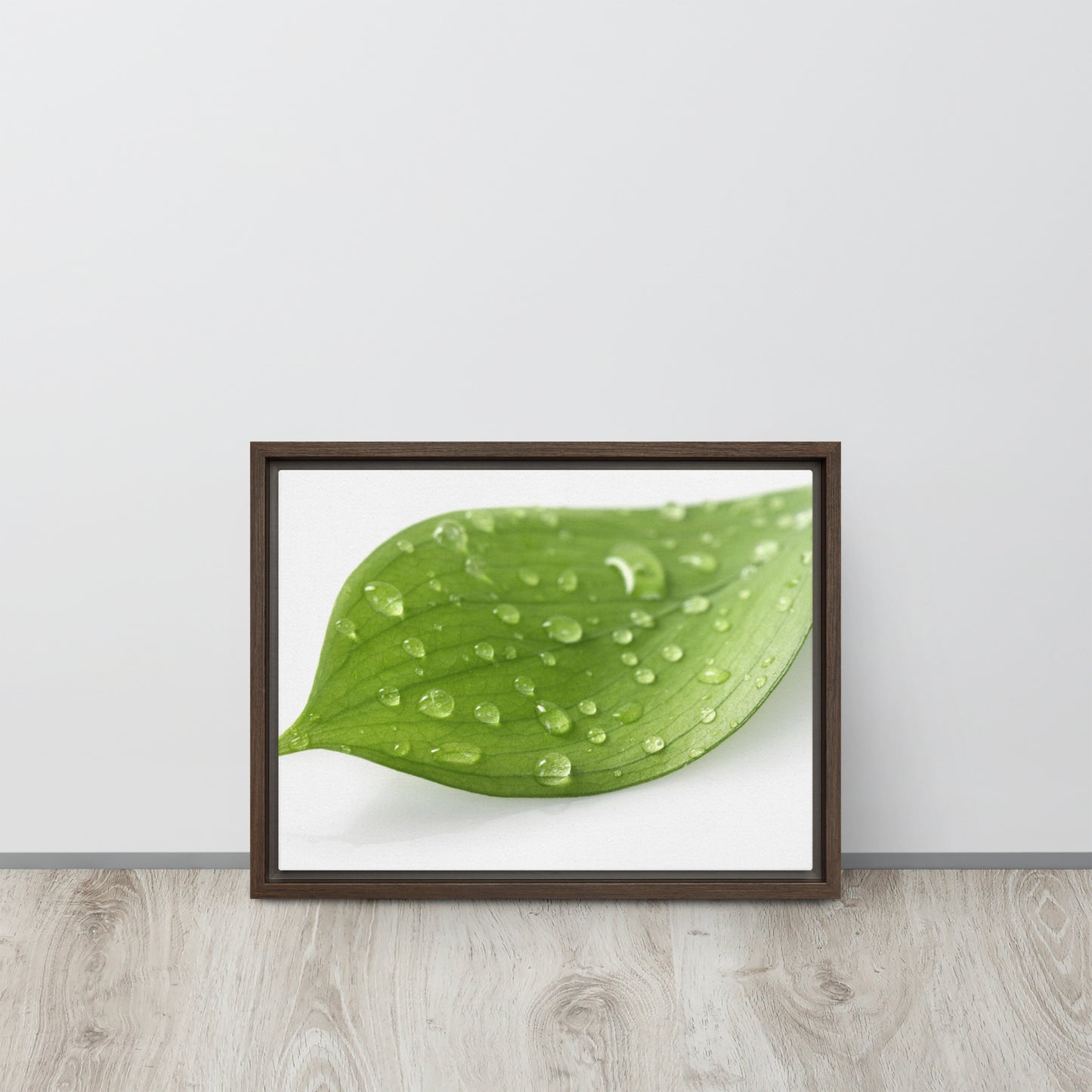 LEAF. Framed canvas