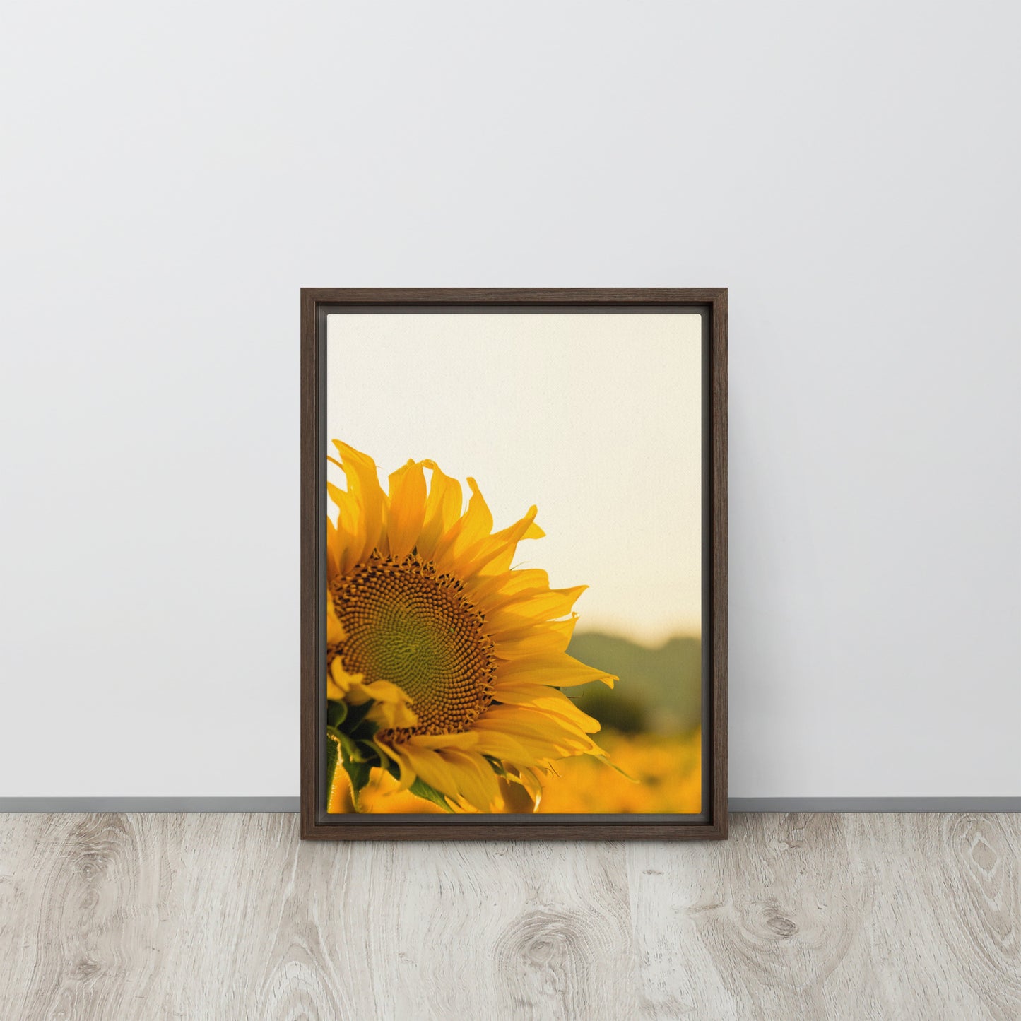 Sunflower. Framed canvas