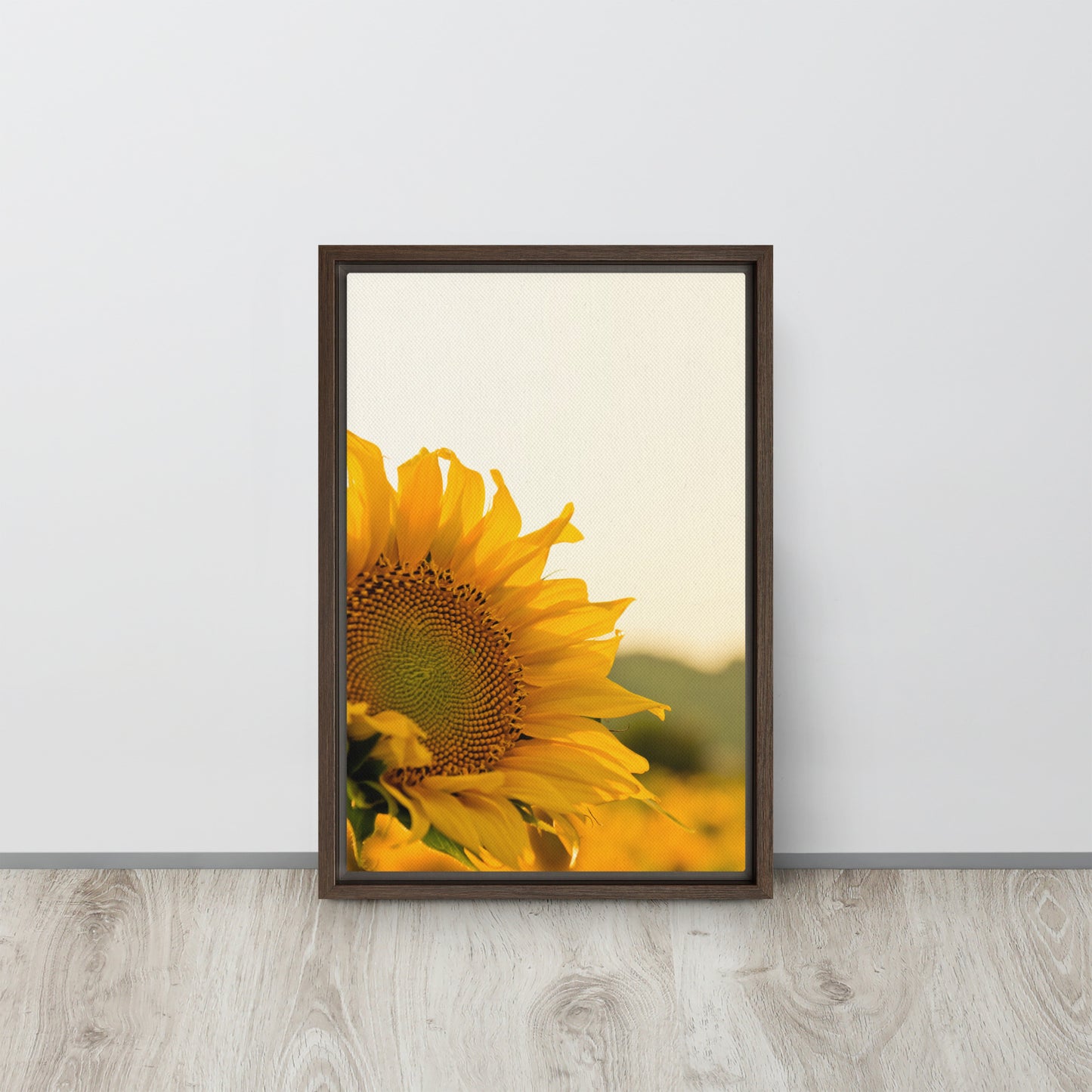 Sunflower. Framed canvas