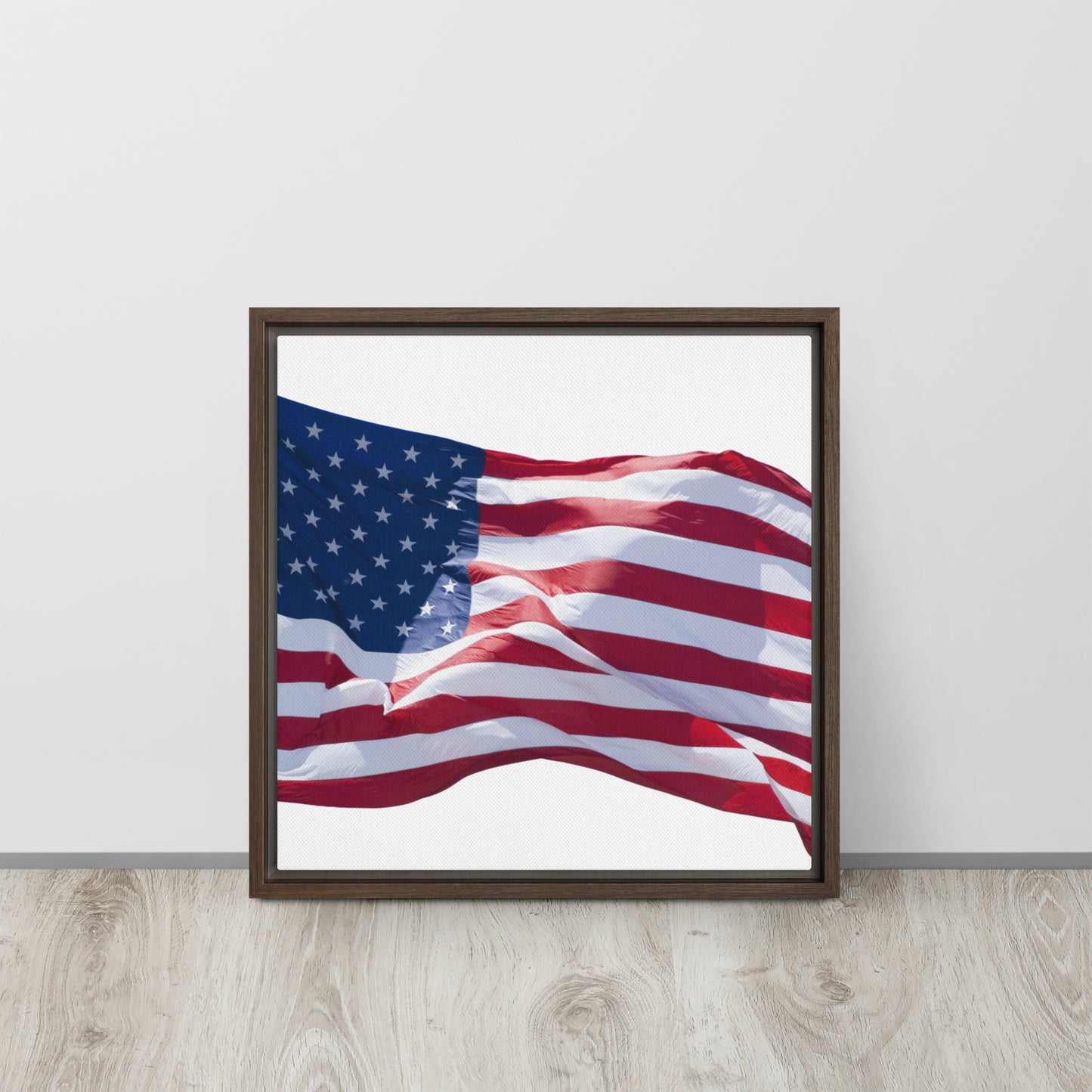 America. Framed canvas