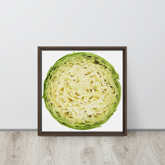 CABBAGE. Framed canvas