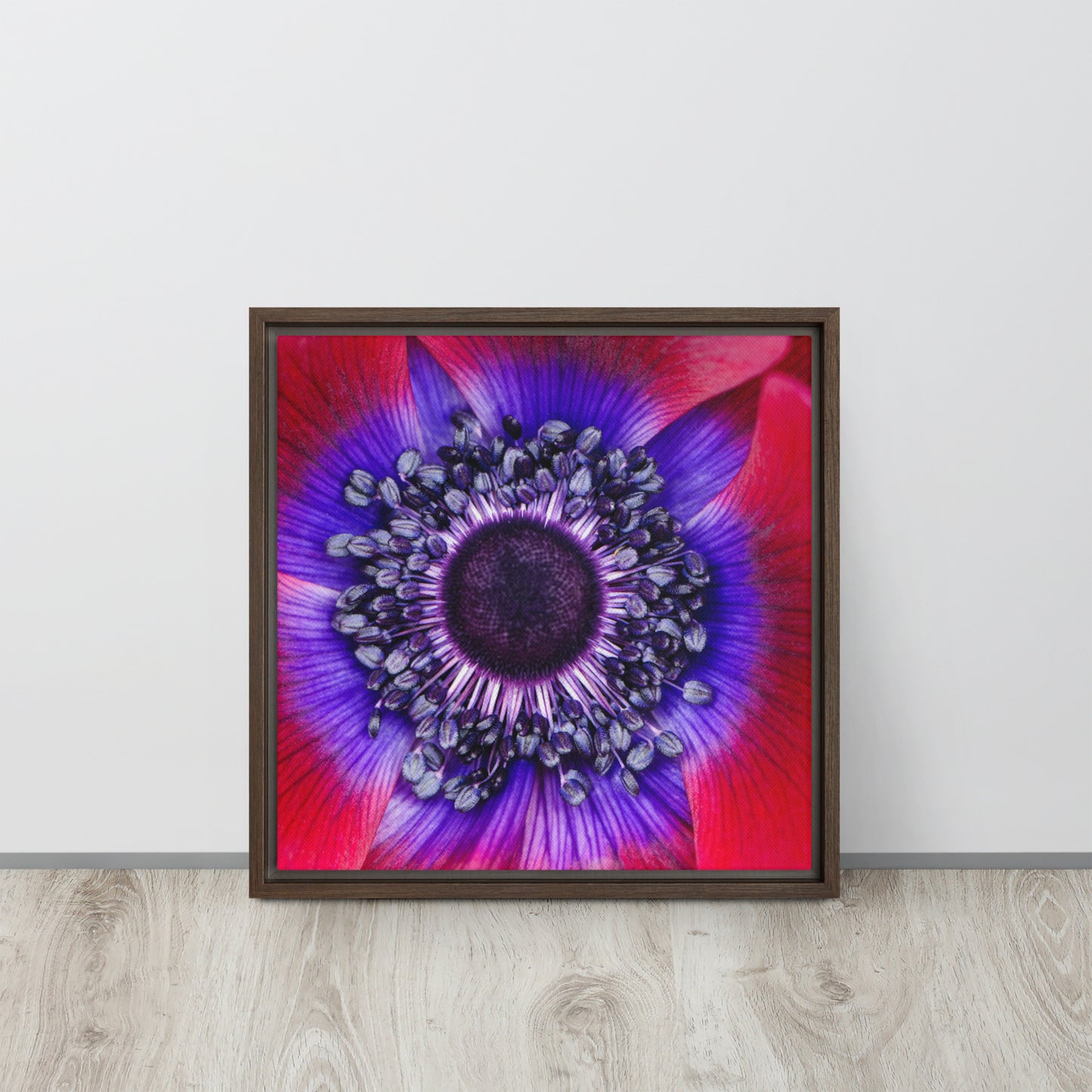 POLLINATE. Framed canvas