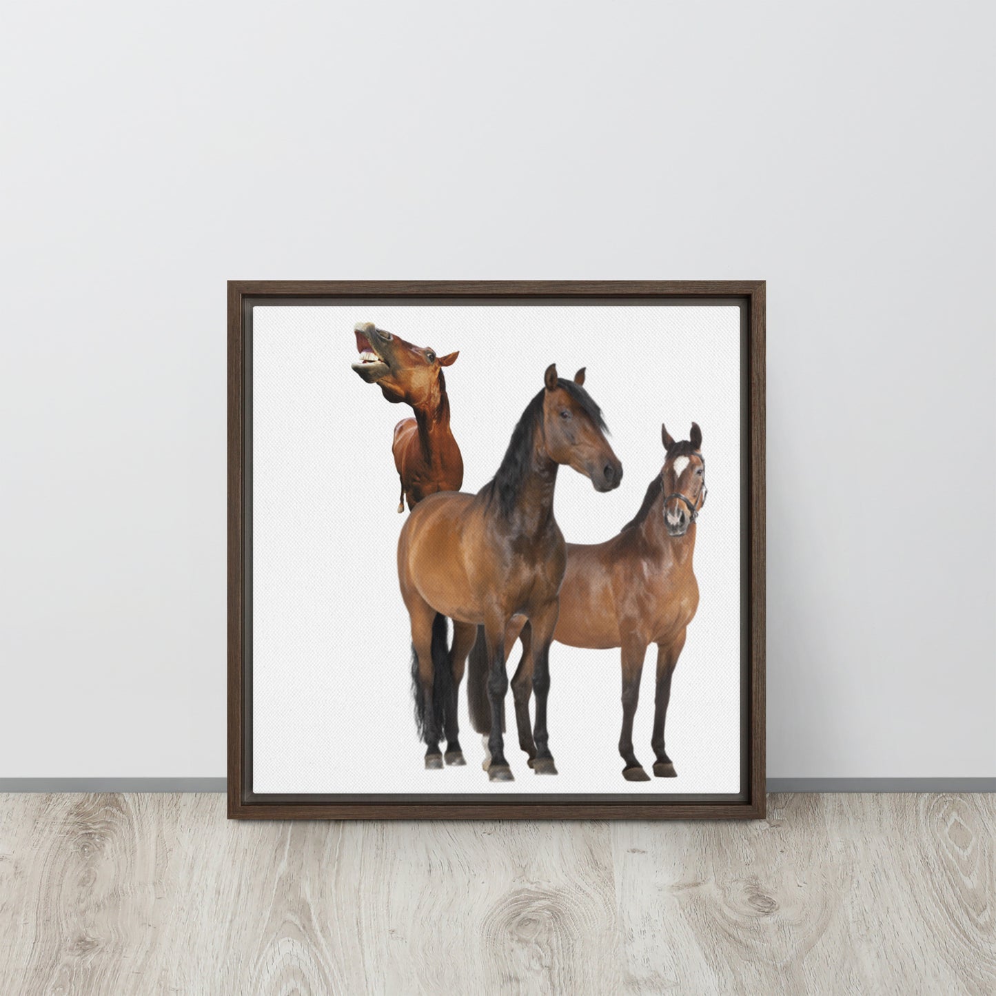 Horse Play. Framed canvas