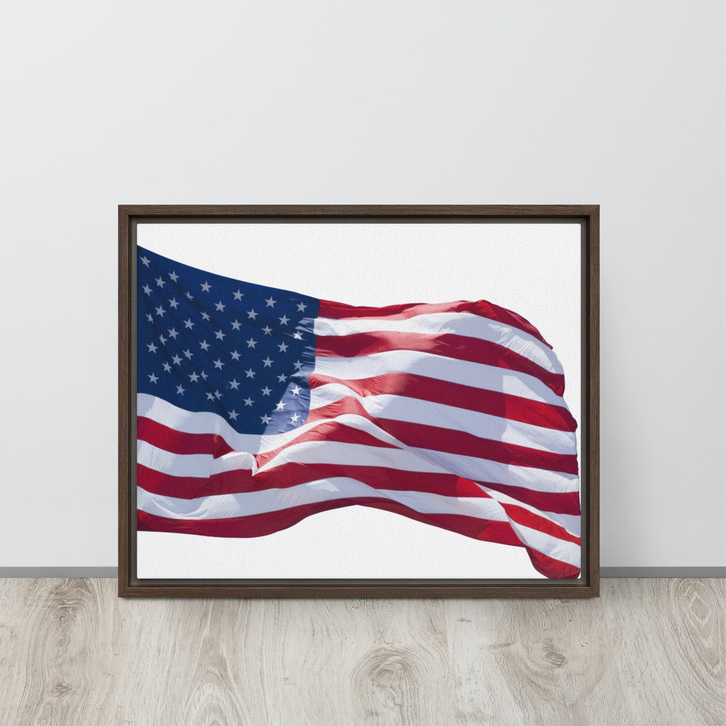 America. Framed canvas