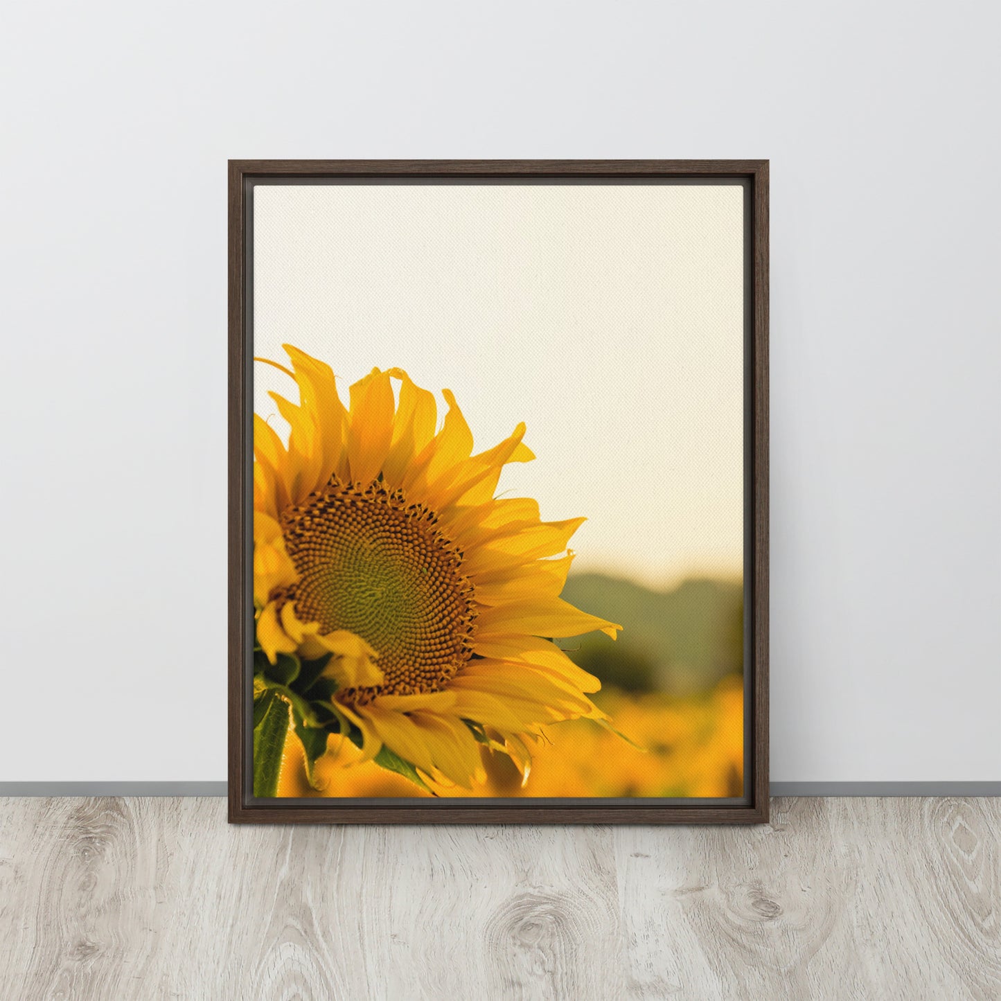 Sunflower. Framed canvas