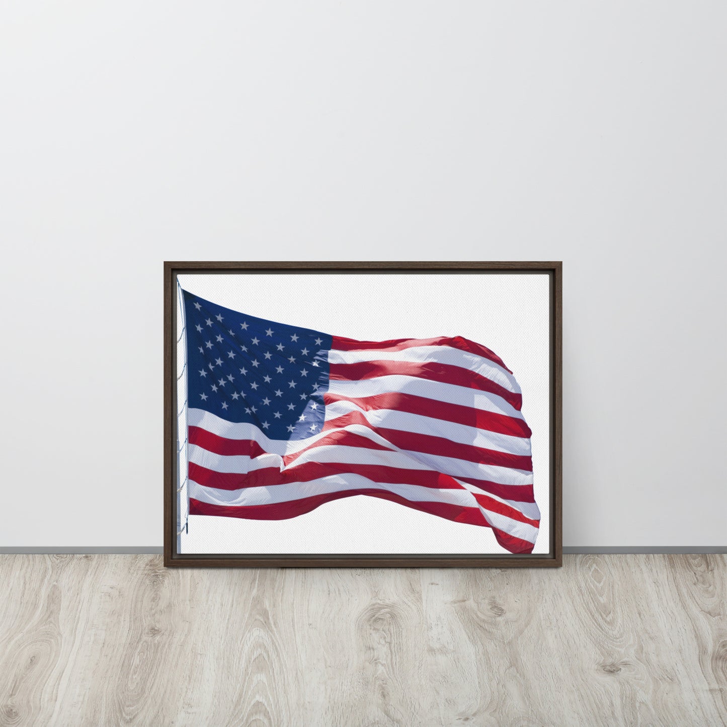 America. Framed canvas