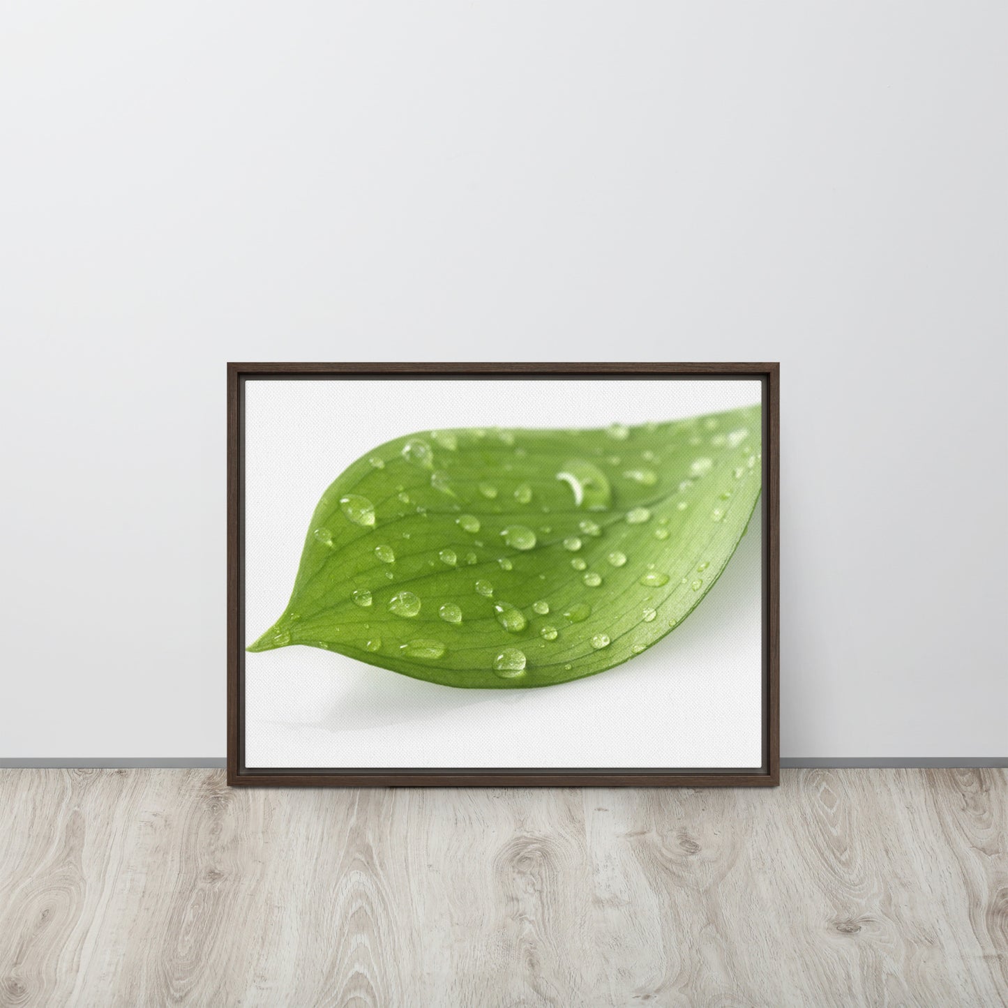 LEAF. Framed canvas