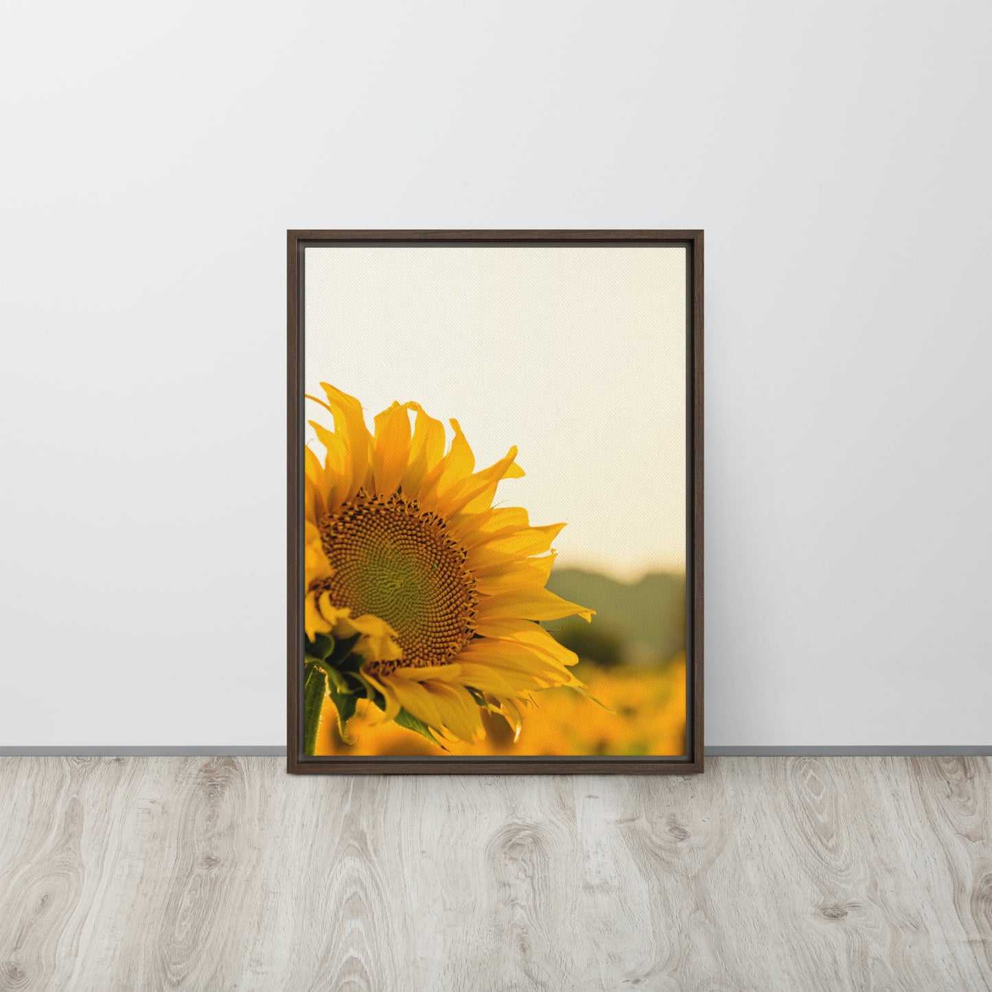 Sunflower. Framed canvas